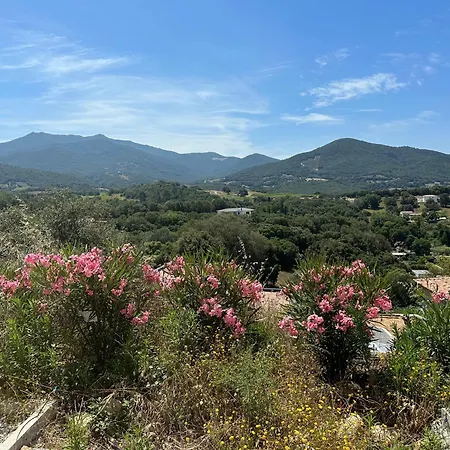 Proche Porticcio Superbe T3 Confort Moderne Au Calme Belle Vue Maquis Et Montagne * Eccica-Suarella (Corsica)
