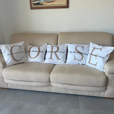 Proche Porticcio Superbe T3 Confort Moderne Au Calme Belle Vue Maquis Et Montagne Nyaraló