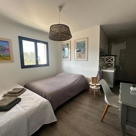 Proche Porticcio Superbe T3 Confort Moderne Au Calme Belle Vue Maquis Et Montagne Nyaraló *