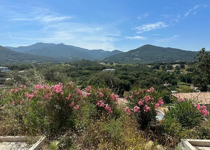 Proche Porticcio Superbe T3 Confort Moderne Au Calme Belle Vue Maquis Et Montagne * Eccica-Suarella (Corsica)